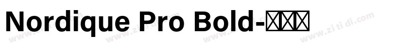 Nordique Pro Bold字体转换